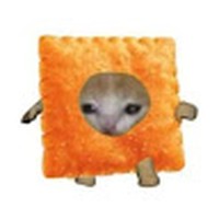 Profile Picture of Sula Kim (@sula-kim-1) on Quora