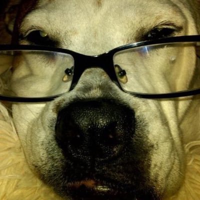 Profile Picture of Jennifer Rinker (@JJRINKS) on Twitter