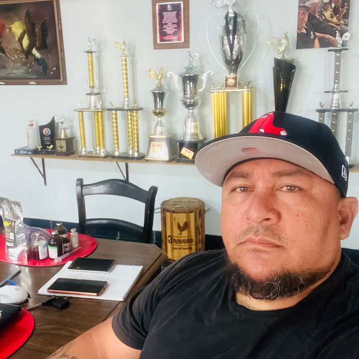 Profile Picture of Davisote (@davisote49) on Tiktok