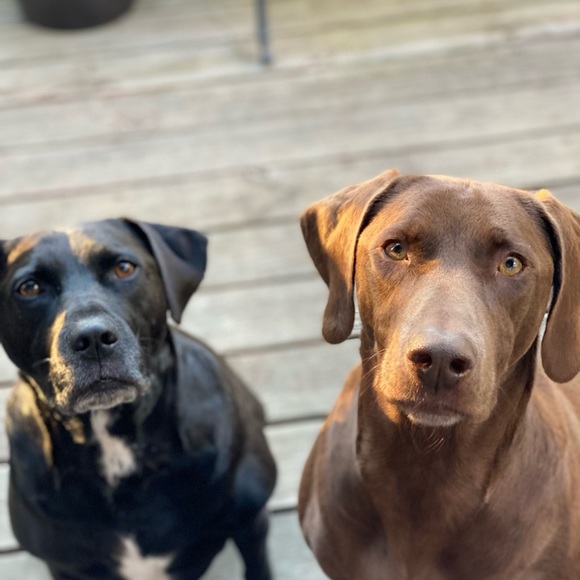 Profile Picture of Casey Pile (@caseyspile) on Poshmark