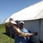 Profile Picture of Jorge Andereggen (@jorge.andereggen.7) on Facebook