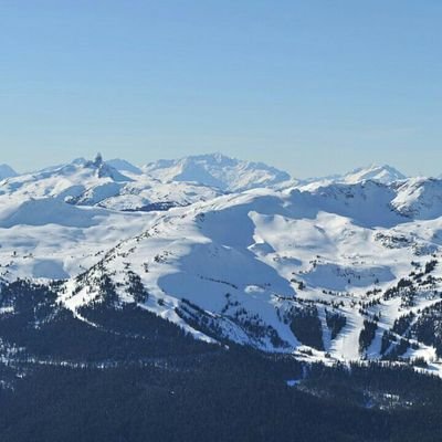 Profile Picture of Scott Lavin (@redrum47214) on Twitter