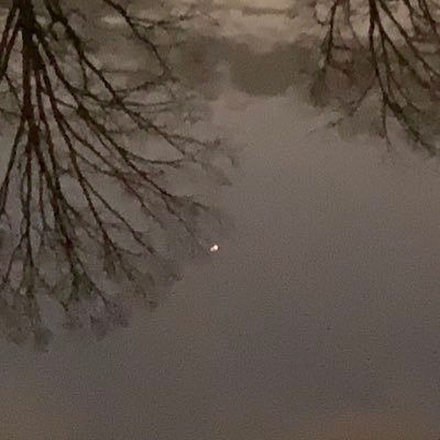 Profile Picture of Jesse Guessford (@jguessfo) on Twitter