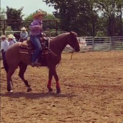 Profile Picture of Katelend Hanna Allen (@KatelendAllen) on Twitter