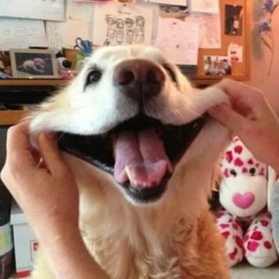 Profile Picture of Kenneth Jaramillo (@KennethJarami17) on Twitter