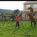 Profile Picture of Eloy García Collazo (@collazoeloygarcia) on Instagram