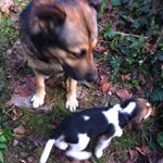 Profile Picture of Nancy Hedges (@jeansomnity) on Instagram