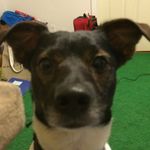 Profile Picture of Kyle Shannon (@kyleshannon_) on Instagram