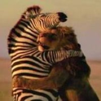 Profile Picture of Kofi Agyeman (@kofi-agyeman-1) on Quora