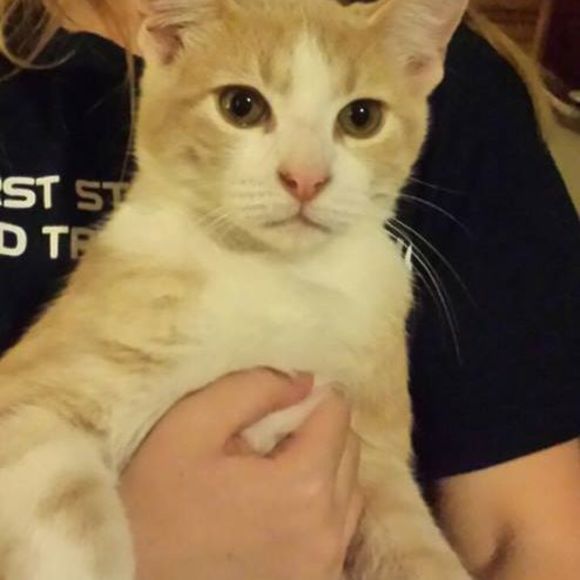 Profile Picture of Steven Winborn (@juliewinborn) on Poshmark