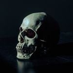 Profile Picture of corona (@covid19) on Instagram