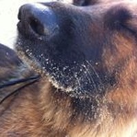 Profile Picture of Dirk De Wilde (@dirk-de-wilde) on Quora