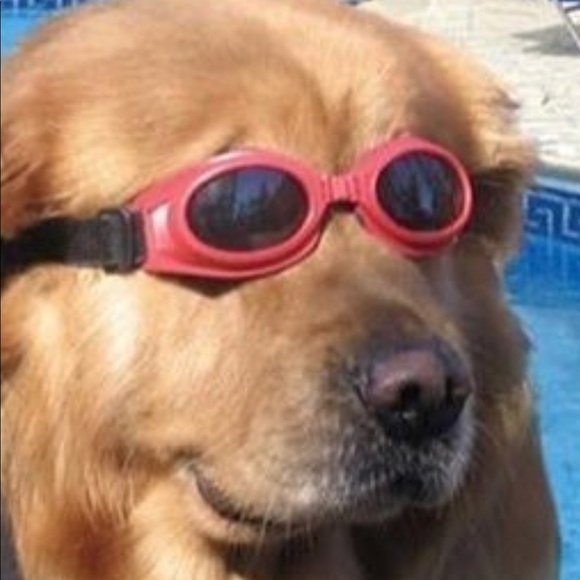 Profile Picture of Pedro Cuevas (@pedrojr05) on Poshmark