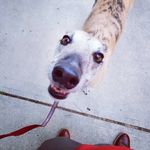 Profile Picture of Jeff Conklin (@jeffreyconklin) on Instagram