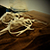 Profile Picture of Aaron  Olko (@[ARCH]ijunkie) on Flickr