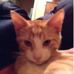 Profile Picture of Micah Schwartz (@buzadwyncali) on Instagram