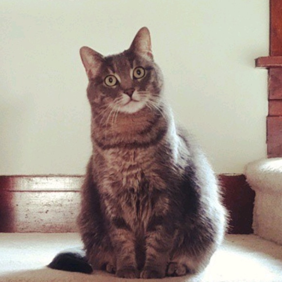 Profile Picture of Samoa Bartoszek (@samoabartoszek) on Poshmark