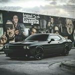 Profile Picture of Cindy Ogata (@cindyogata) on Instagram