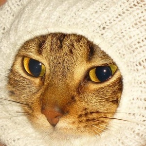 Profile Picture of Krystyna S (@livestudioassignment) on Myspace