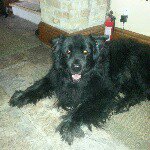 Profile Picture of Keith Gore (@wallyman11) on Instagram