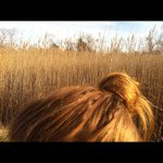 Profile Picture of Laurie Imhoff (@ccmcmama) on Instagram