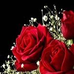Profile Picture of Randy Fitzpatrick (@randyfitzpatrick) on Instagram