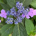 Profile Picture of David (@weltmand) on Instagram