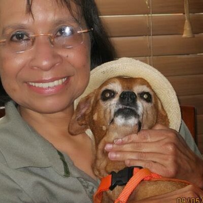 Profile Picture of Aura Stella Silva (@astesil) on Twitter