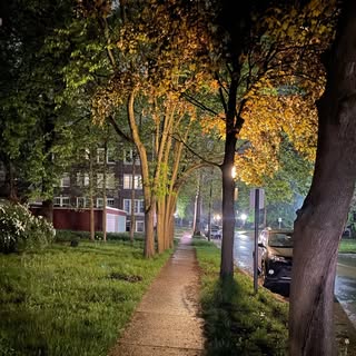 Profile Picture of monahan_james (@monahan_james) on Instagram