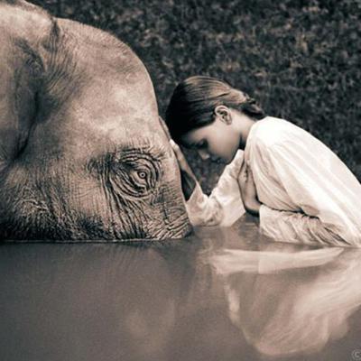 Profile Picture of Yukie Inoue (@YukieDJay) on Twitter