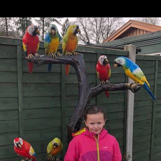 Jimmers James Nalder - Facebook Profile Picture of Jimmers James Nalder (@jimmersjames.nalder) on Facebook