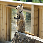 Profile Picture of Adam Duncan (@adam r duncan) on Flickr