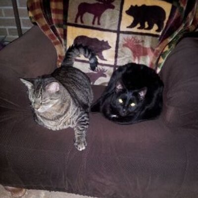 Profile Picture of Deborah Krause (@debinthefalls) on Twitter