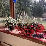 Profile Picture of Mary Ann LojewskiKish (@mary.lojewskikish) on Facebook