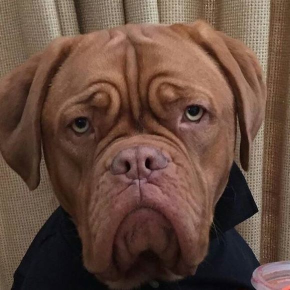 Profile Picture of Gerti Kernya (@cmkernya) on Poshmark