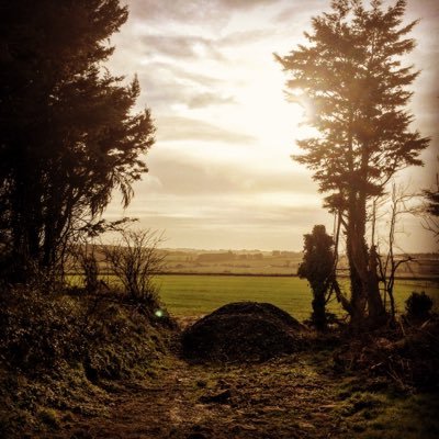 Profile Picture of Jake Hearne Photos (@jakehearnephoto) on Twitter