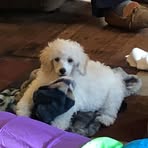 Profile Picture of Carolyn Witkowski (@carolyn.witkowski.33) on Facebook