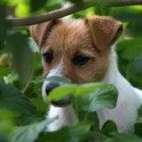 Profile Picture of Andrew Hayman (@andrew-hayman-17) on Quora