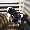 Profile Picture of Jacob Clevenger (@@jacobclevenger6) on Tiktok