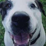 Profile Picture of Randy Quade (@randy.quade) on Instagram