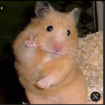 Profile Picture of John Mousa (@MousaJohn) on Twitter