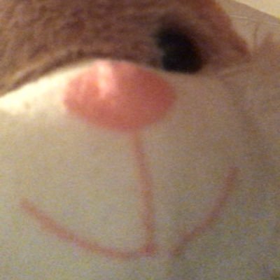 Profile Picture of Benjamin Bunny (@benjami17764340) on Twitter