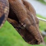 Profile Picture of Lance Lloyd (@lance_lloyd) on Instagram