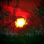 Profile Picture of David Müller (@kuschelzombie05gmail_) on Instagram