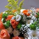 Profile Picture of Rose Irvin (@roseirvin) on Instagram