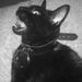 Profile Picture of Ophelia Matthews-Smith (@philsrice) on Pinterest