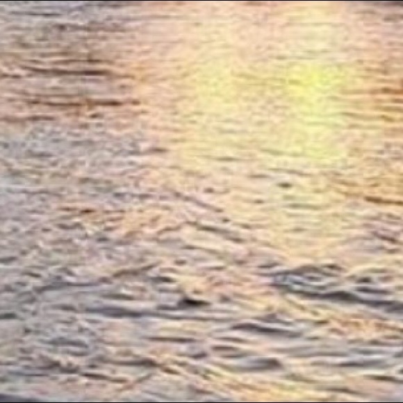 Profile Picture of Steven Carlos (@raidersboi23) on Poshmark