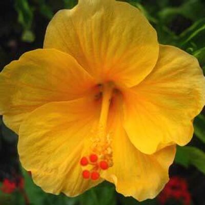 Profile Picture of LIM TIAN LAI (@lai_tian59) on Twitter
