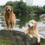 Profile Picture of Shu Tien Lo (@Vicky_lo) on Flickr