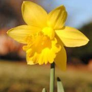 Chad Valentine - Pinterest Profile Picture of Chad Valentine (@chadwickvikki) on Pinterest